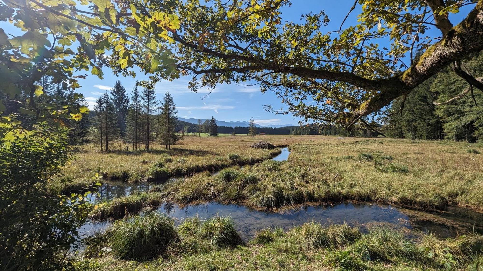 Liboria I Traumhafte Ferienwohnung In Aidling Am Riegsee Mit Atemberaubendem Panoramablick! Exteriér fotografie